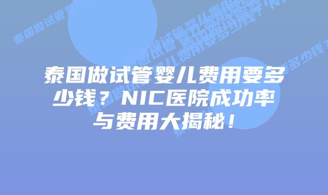 泰国做试管婴儿费用要多少钱？NIC医院成功率与费用大揭秘！