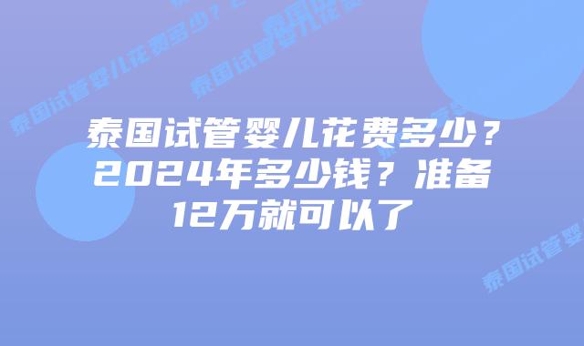 泰国试管婴儿花费多少？2024年多少钱？准备12万就可以了