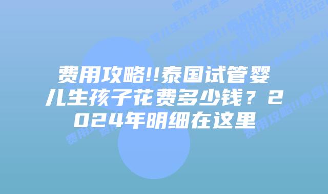 费用攻略!!泰国试管婴儿生孩子花费多少钱？2024年明细在这里