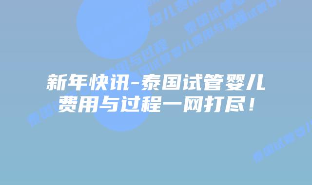 新年快讯-泰国试管婴儿费用与过程一网打尽！