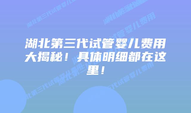 湖北第三代试管婴儿费用大揭秘！具体明细都在这里！