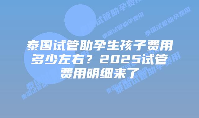泰国试管助孕生孩子费用多少左右?2025试管费用明细来了插图 泰国试管助孕生孩子费用多少左右?2025试管费用明细来了