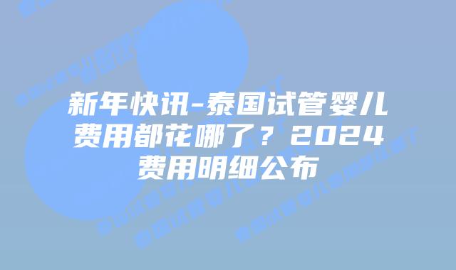 新年快讯-泰国试管婴儿费用都花哪了？2024费用明细公布