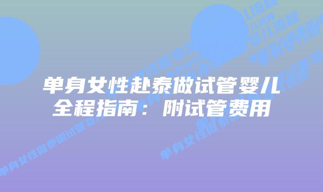 单身女性赴泰做试管婴儿全程指南：附试管费用