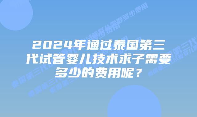 2024年通过泰国第三代试管婴儿技术求子需要多少的费用呢?插图 2024年通过泰国第三代试管婴儿技术求子需要多少的费用呢?