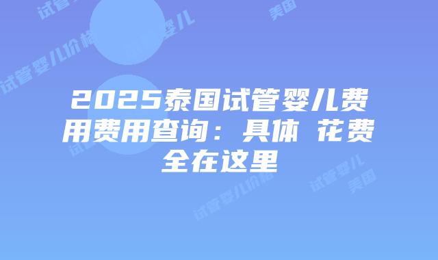 2025泰国试管婴儿费用费用查询：具体​花费全在这里