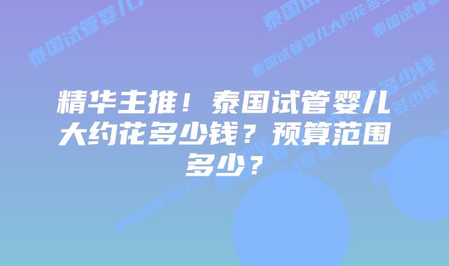 精华主推!泰国试管婴儿大约花多少钱?预算范围多少?插图 精华主推!泰国试管婴儿大约花多少钱?预算范围多少?