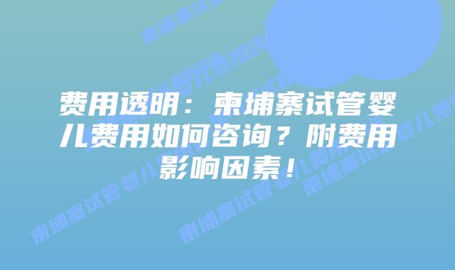 费用透明:柬埔寨试管婴儿费用如何咨询?附费用影响因素!插图 费用透明:柬埔寨试管婴儿费用如何咨询?附费用影响因素!