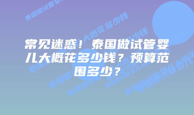 常见迷惑！泰国做试管婴儿大概花多少钱？预算范围多少？