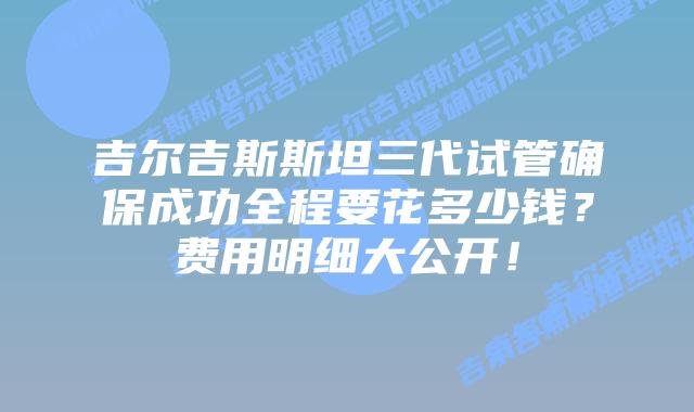 吉尔吉斯斯坦三代试管确保成功全程要花多少钱?费用明细大公开!插图 吉尔吉斯斯坦三代试管确保成功全程要花多少钱?费用明细大公开!