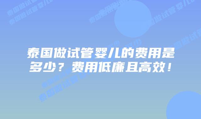 泰国做试管婴儿的费用是多少？费用低廉且高效！