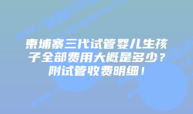 柬埔寨三代试管婴儿生孩子全部费用大概是多少？附试管收费明细！