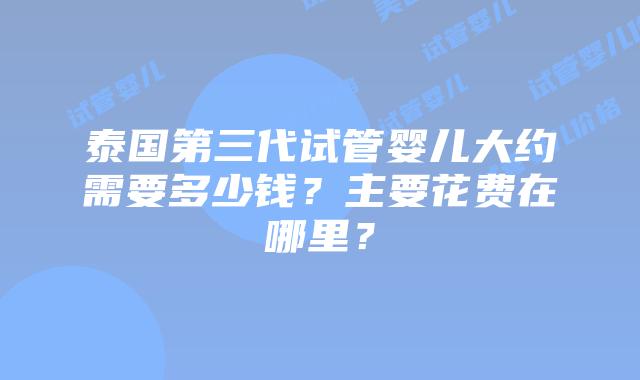 泰国第三代试管婴儿大约需要多少钱?主要花费在哪里?插图 泰国第三代试管婴儿大约需要多少钱?主要花费在哪里?