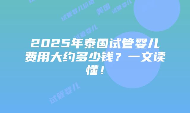2025年泰国试管婴儿费用大约多少钱?一文读懂!插图 2025年泰国试管婴儿费用大约多少钱?一文读懂!