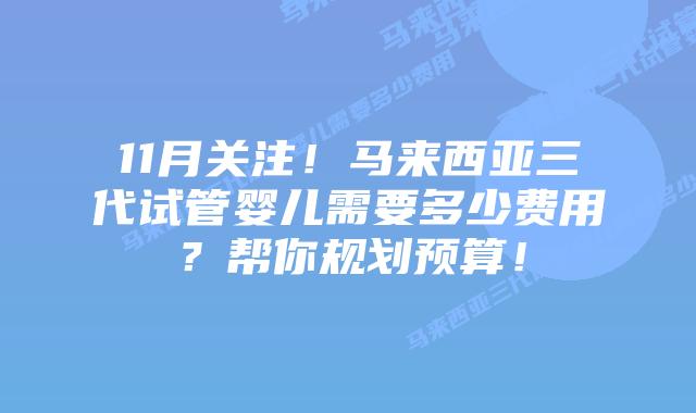11月关注！马来西亚三代试管婴儿需要多少费用？帮你规划预算！
