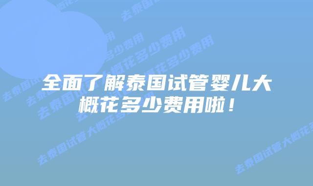 全面了解泰国试管婴儿大概花多少费用啦!插图 全面了解泰国试管婴儿大概花多少费用啦!