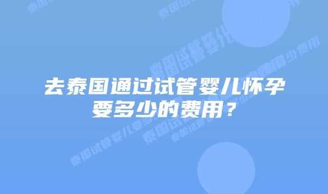 去泰国通过试管婴儿怀孕要多少的费用?插图 去泰国通过试管婴儿怀孕要多少的费用?