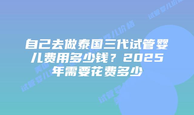 自己去做泰国三代试管婴儿费用多少钱?2025年需要花费多少插图 自己去做泰国三代试管婴儿费用多少钱?2025年需要花费多少