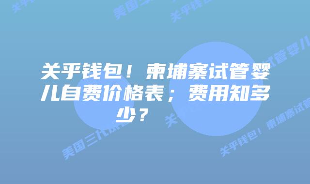 关乎钱包！柬埔寨试管婴儿自费价格表；费用知多少？    