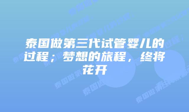 泰国做第三代试管婴儿的过程；梦想的旅程，终将花开