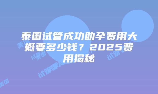 泰国试管成功助孕费用大概要多少钱？2025费用揭秘