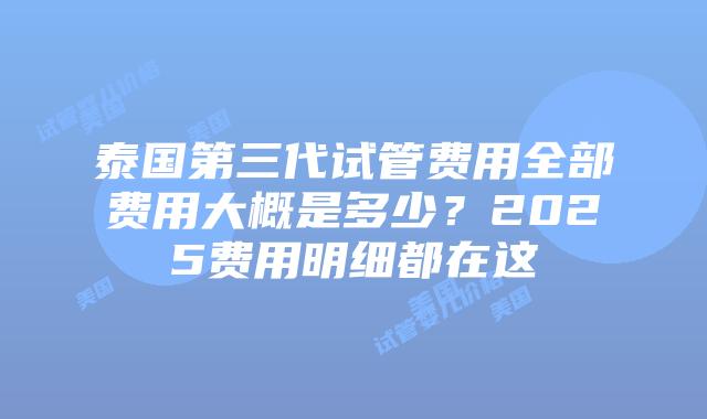 泰国第三代试管费用全部费用大概是多少？2025费用明细都在这