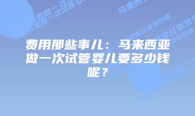 费用那些事儿：马来西亚做一次试管婴儿要多少钱呢？