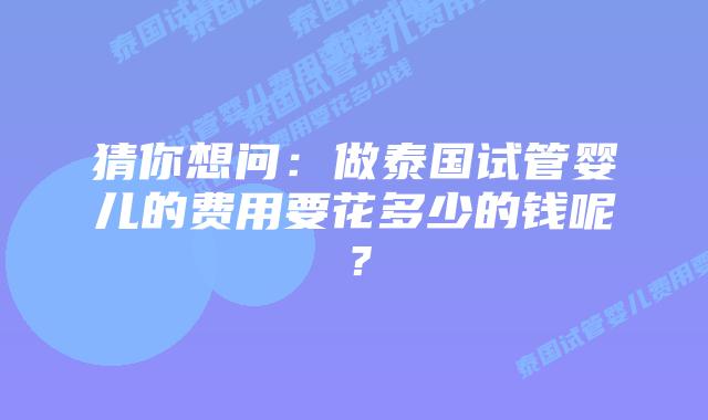 猜你想问:做泰国试管婴儿的费用要花多少的钱呢?插图 猜你想问:做泰国试管婴儿的费用要花多少的钱呢?