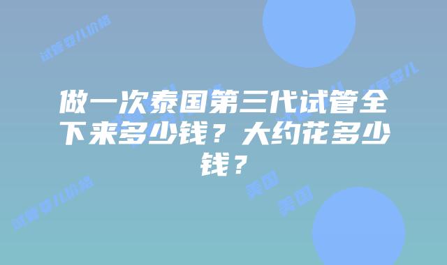 做一次泰国第三代试管全下来多少钱？大约花多少钱？