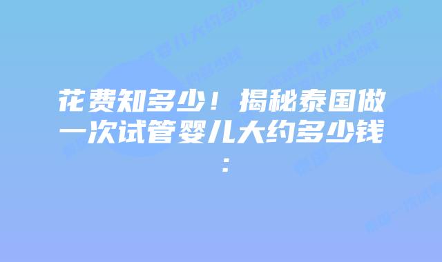 花费知多少！揭秘泰国做一次试管婴儿大约多少钱：