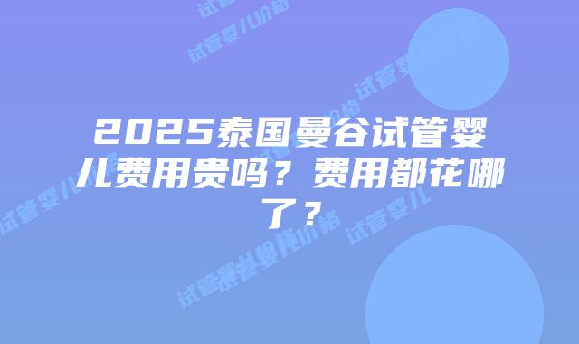 2025泰国曼谷试管婴儿费用贵吗?费用都花哪了?插图 2025泰国曼谷试管婴儿费用贵吗?费用都花哪了?