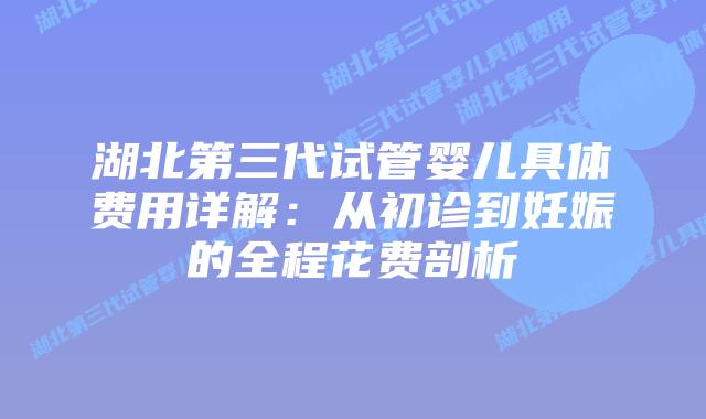 湖北第三代试管婴儿具体费用详解：从初诊到妊娠的全程花费剖析