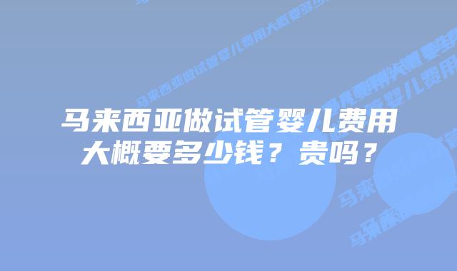马来西亚做试管婴儿费用大概要多少钱？贵吗？