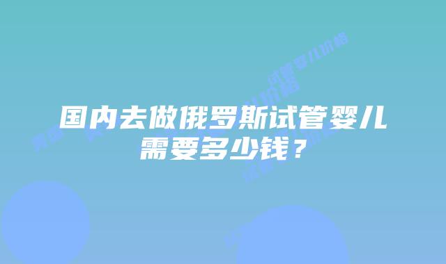 国内去做俄罗斯试管婴儿需要多少钱？