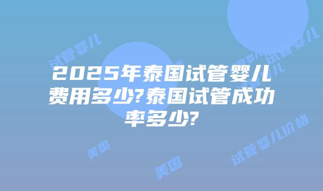 2025年泰国试管婴儿费用多少?泰国试管成功率多少?