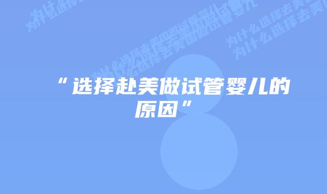 “选择赴美做试管婴儿的原因”插图 “选择赴美做试管婴儿的原因”
