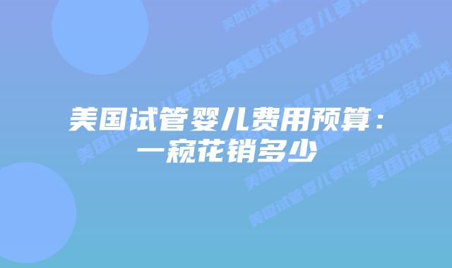美国试管婴儿费用预算：一窥花销多少