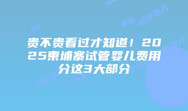 贵不贵看过才知道!2025柬埔寨试管婴儿费用分这3大部分插图 贵不贵看过才知道!2025柬埔寨试管婴儿费用分这3大部分