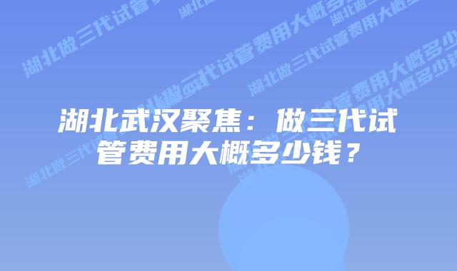 湖北武汉聚焦：做三代试管费用大概多少钱？