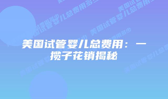 美国试管婴儿总费用：一揽子花销揭秘