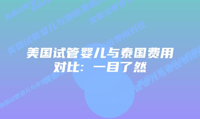 美国试管婴儿与泰国费用对比: 一目了然