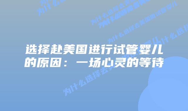 选择赴美国进行试管婴儿的原因:一场心灵的等待插图 选择赴美国进行试管婴儿的原因:一场心灵的等待
