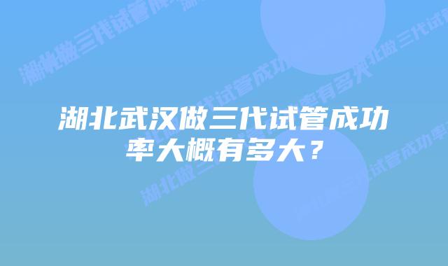 湖北武汉做三代试管成功率大概有多大?插图 湖北武汉做三代试管成功率大概有多大?
