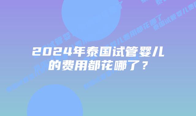 2024年泰国试管婴儿的费用都花哪了？